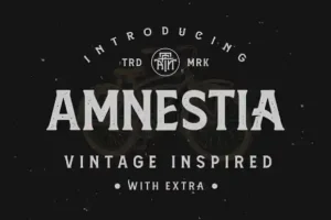 Amnestia Display Font