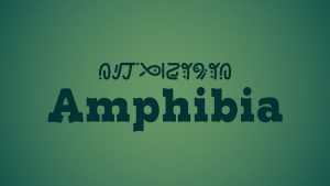 Amphibia Font › Fontesk
