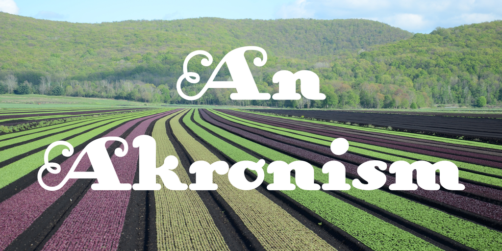 An Akronism Font