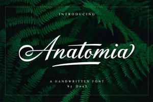Anatomia Script Font