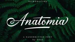 Anatomia Script Font › Fontesk