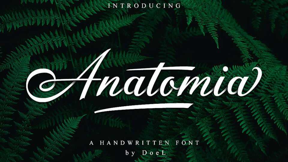 Anatomia Script Font › Fontesk