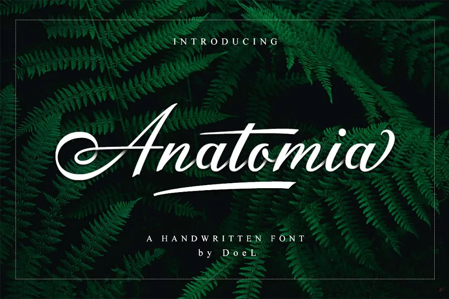 Anatomia Script Font