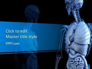 Anatomical PowerPoint Template