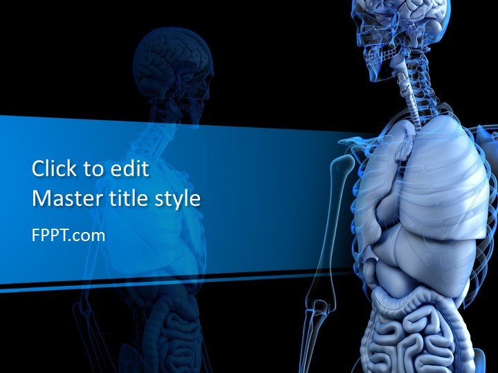 Anatomical PowerPoint Template