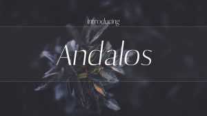 Andalos Font › Fontesk