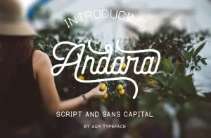 Andara Font