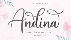 Andina Script Font › Fontesk