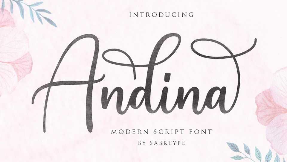 Andina Script Font › Fontesk