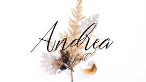 Andrea Script Font › Fontesk