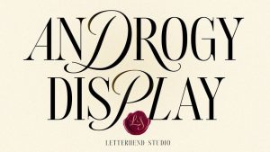 Androgy Display Font › Fontesk