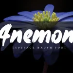 Anemone Brush Font - Fonte Grátis Anemone Brush Font