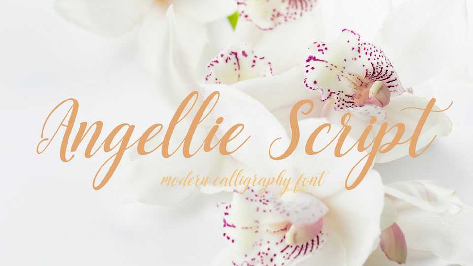 Angellie Script Font › Fontesk