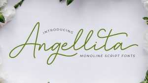 Angellita Script Font › Fontesk