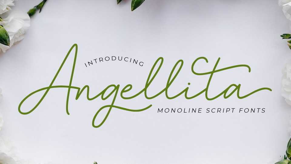 Angellita Script Font › Fontesk