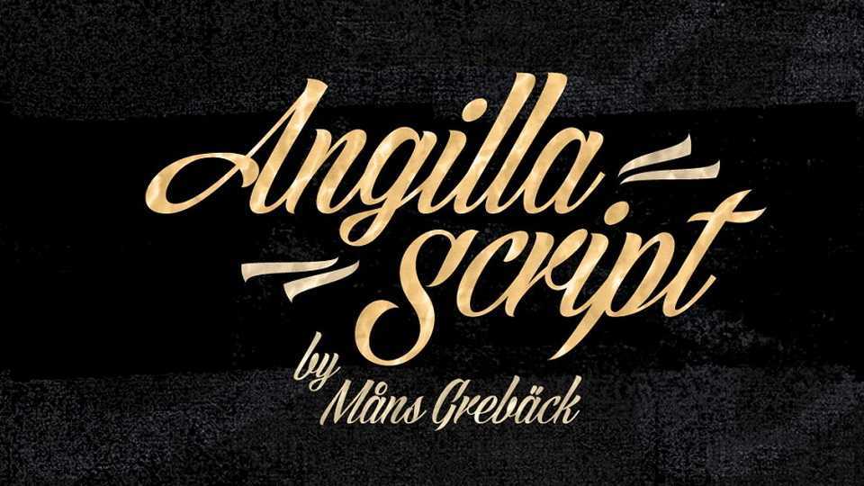 Angilla Script Font › Fontesk
