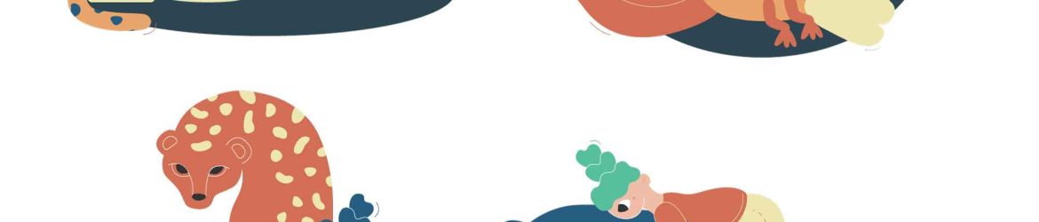 Animal Love Illustrations