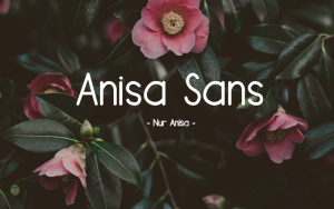 Anisa Sans Serif Font