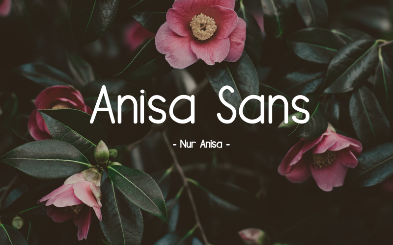 Anisa Sans Serif Font