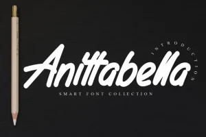 Anittabella Handwritten Font