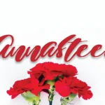 Annasteel - Bold Script Font