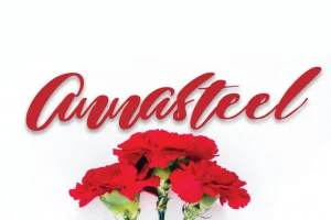 Annasteel - Bold Script Font