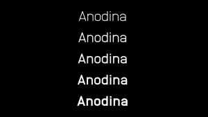 Anodina Typeface › Fontesk