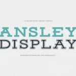 Ansley Display