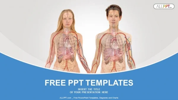 Anterior View of Human Body PowerPoint Templates