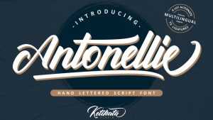 Antonellie Script Font › Fontesk
