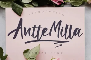 Antte Milla Font