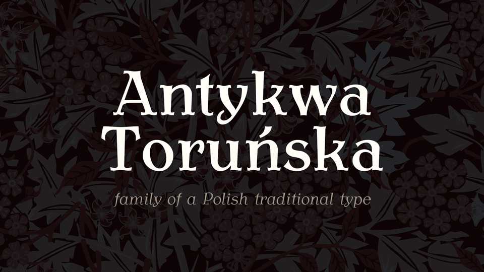Antykwa Torunska Font Family › Fontesk
