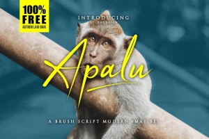 Apalu Script Font