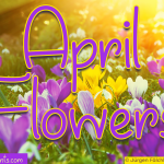 April Flowers Font