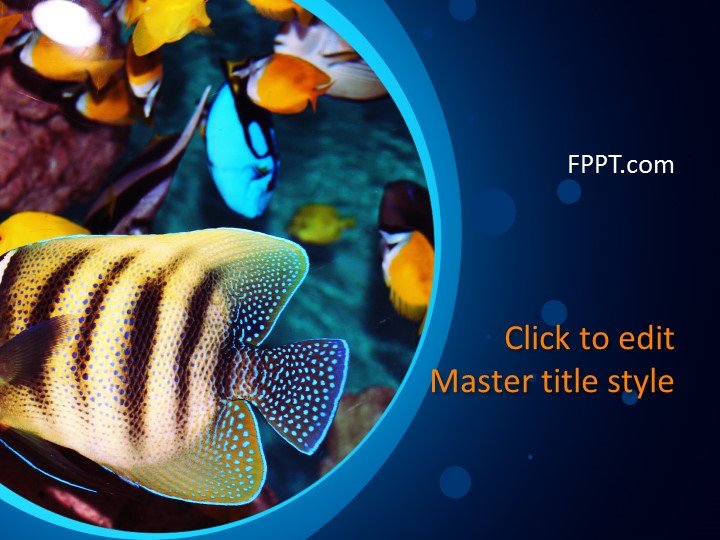 Aquarium PowerPoint Template