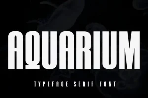 Aquarium Sans Serif Font