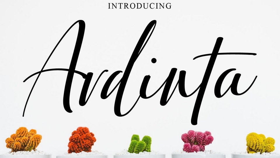Ardinta Script Font › Fontesk