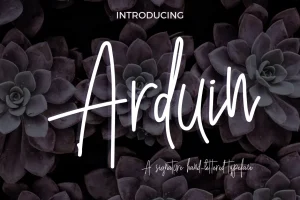 Arduin Script Font