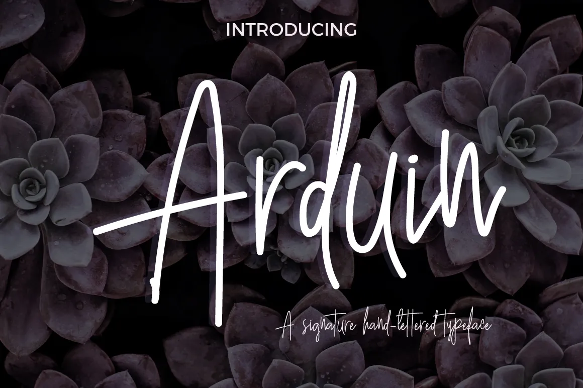 Arduin Script Font