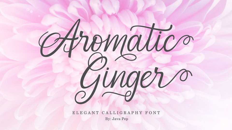 Aromatic Ginger Script Font › Fontesk