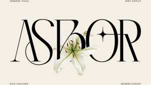 Asbor Fashion Font › Fontesk
