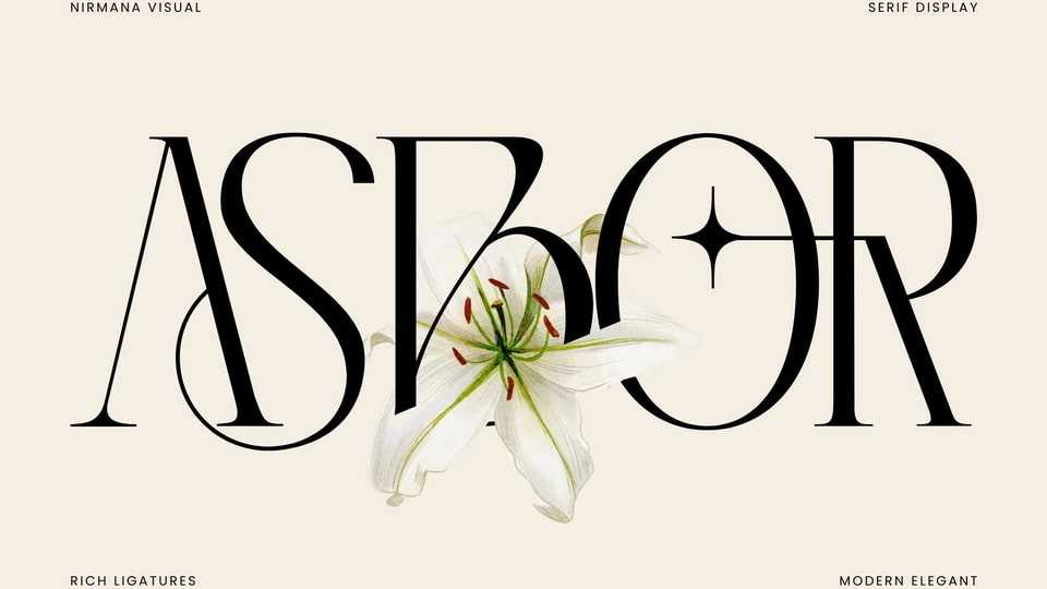 Asbor Fashion Font › Fontesk