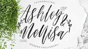 Ashley & Mellisa Font › Fontesk