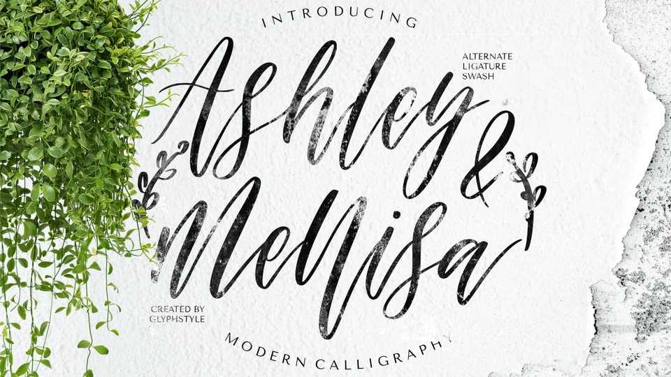 Ashley & Mellisa Font › Fontesk