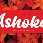 Ashoka Bold Script Font