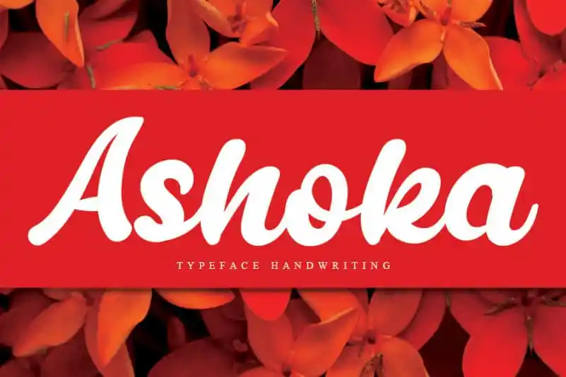 Ashoka Bold Script Font