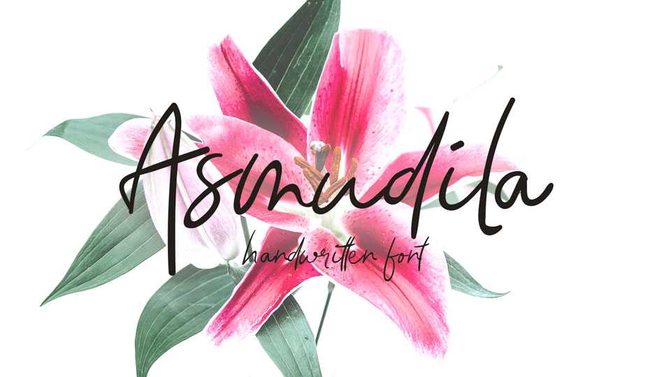 Asmudila Script Font › Fontesk