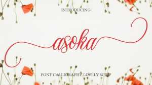Asoka Font › Fontesk