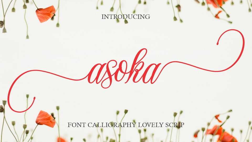 Asoka Font › Fontesk