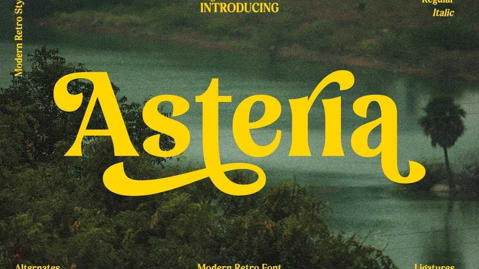 Asteria Font › Fontesk